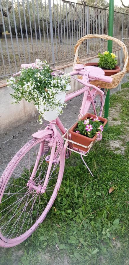 Agriturismo La Mandragola Relais Crotone Bagian luar foto