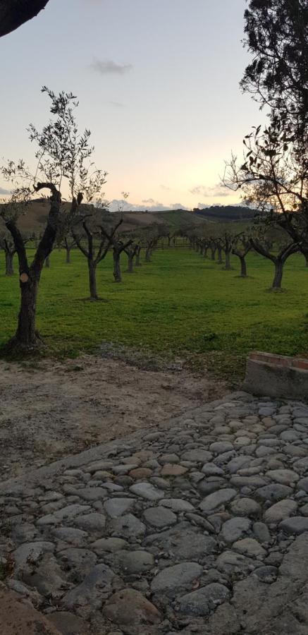 Agriturismo La Mandragola Relais Crotone Bagian luar foto