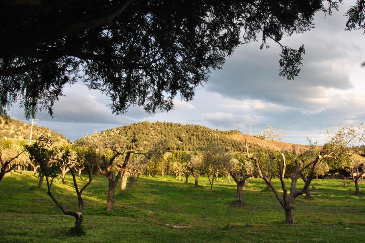 Agriturismo La Mandragola Relais Crotone Bagian luar foto