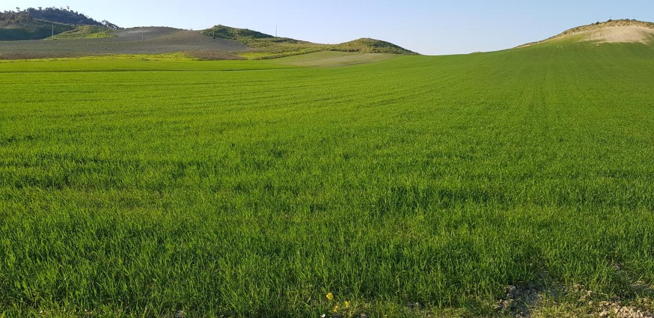 Agriturismo La Mandragola Relais Crotone Bagian luar foto