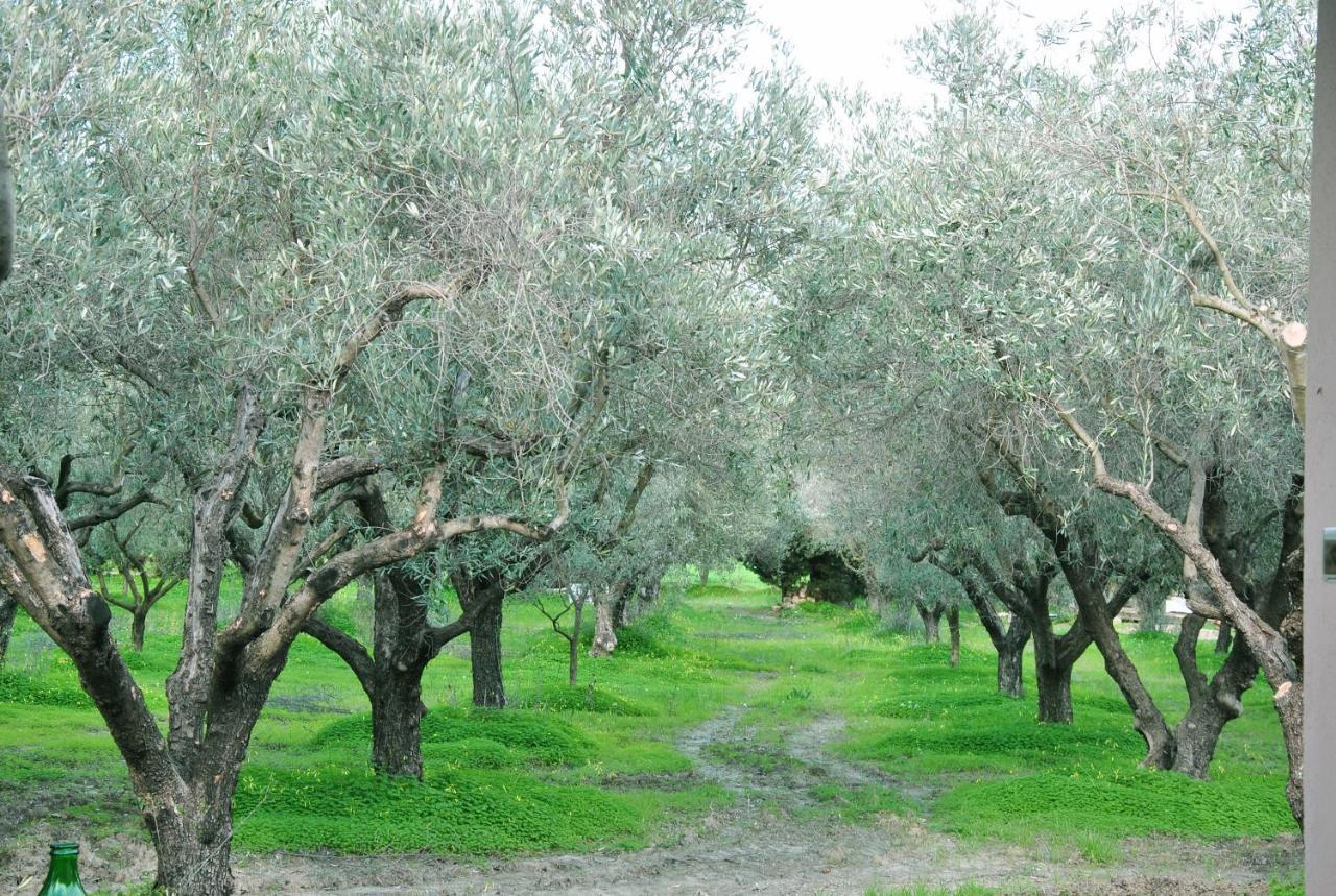 Agriturismo La Mandragola Relais Crotone Bagian luar foto